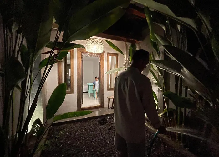 Denpasar Backpacker Bali Hotel cápsula